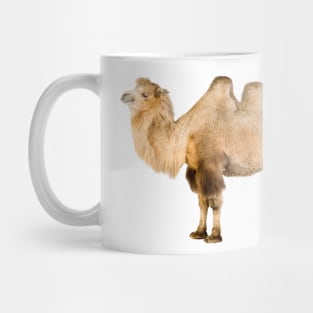 Funky Camel Mug